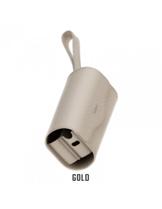 Case Kiwi 2 - Kiwi Vapor 2