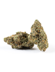 CBD Blueberry Kush Suisse - 1g