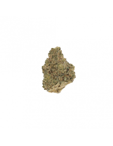 CBD Gelato Suisse - 1g